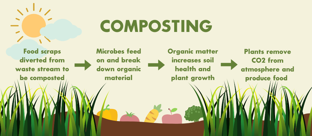 Compost Can  Sustainability