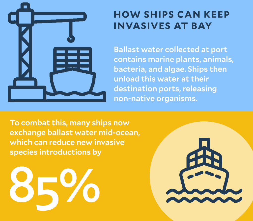 Infographic showing how ships can reduce the spread of invasive species