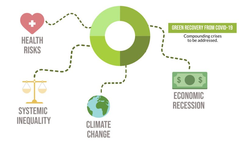 Pandemic, climate change influence more sustainable products