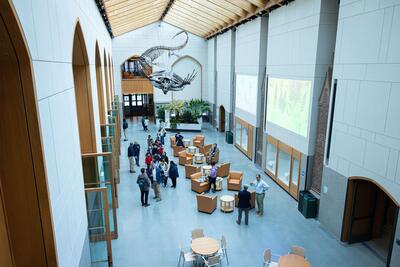 A gallery in the renovated Yale Peabody Museum