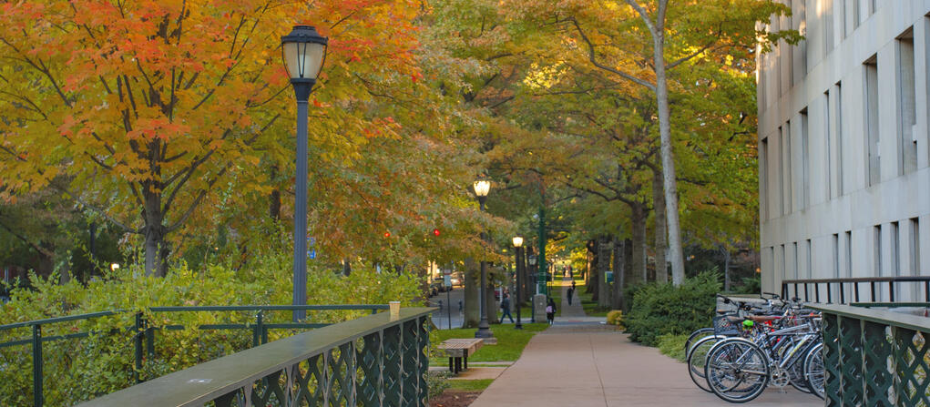 Photo of Hillhouse Avenue on Yale's campus