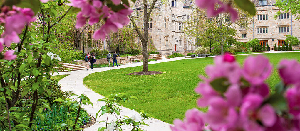 A stone pathway leading through a campus courtyard with flowers in foreground