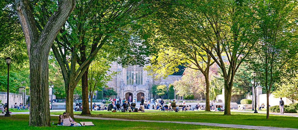 Yale's Cross Campus