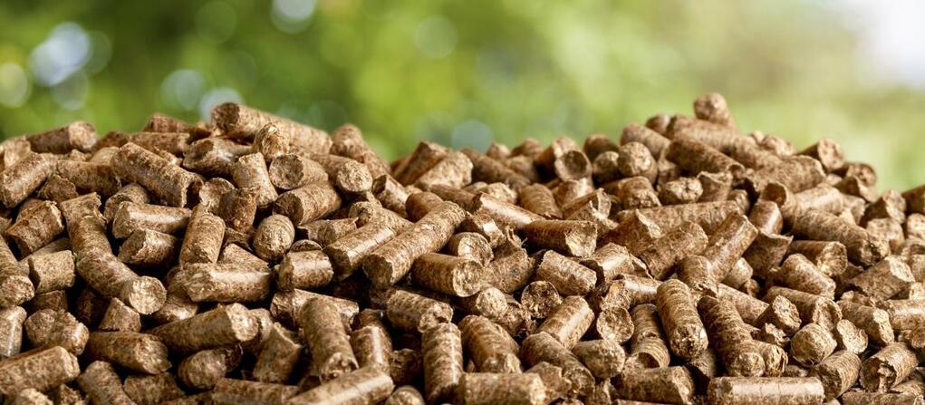 An image of biomass energy pellets