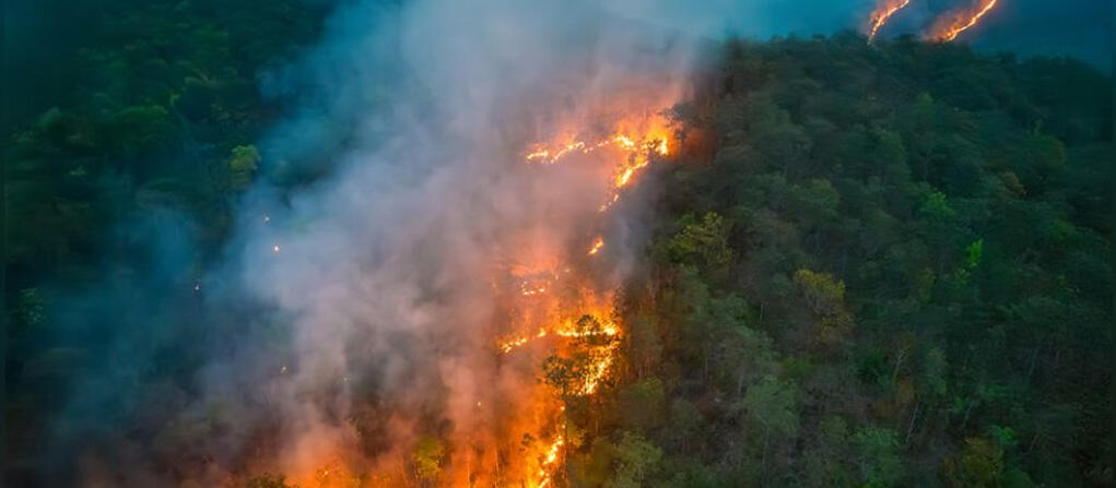 Aerial photo of a wildfire burning a forest