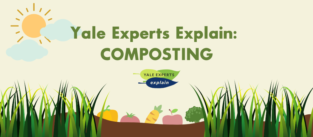 Yale Experts explain Composting