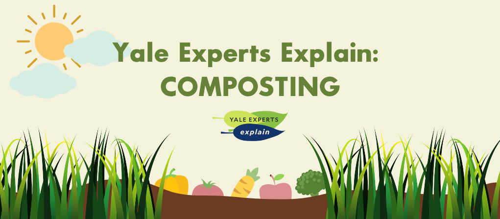 Compost critters and what they can tell you