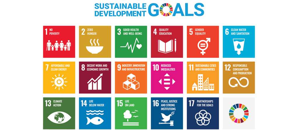 sustainable development goals squares with each goal in a square