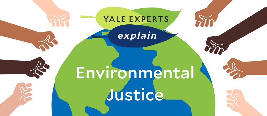 yale experts explain environmental justice infographic