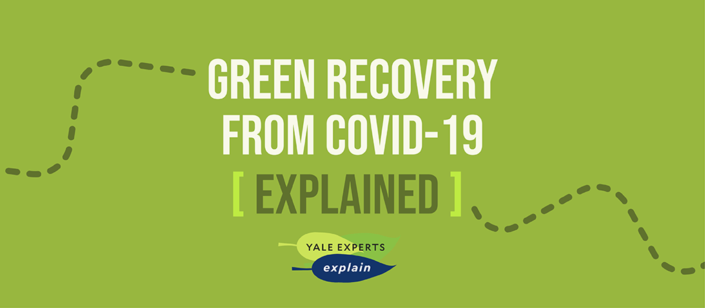 green recovery from covid 19
