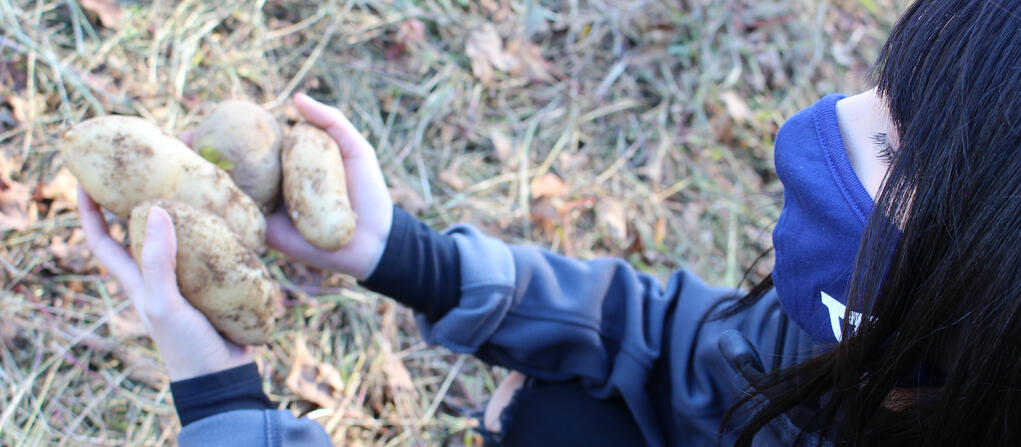 girl holding potatoes