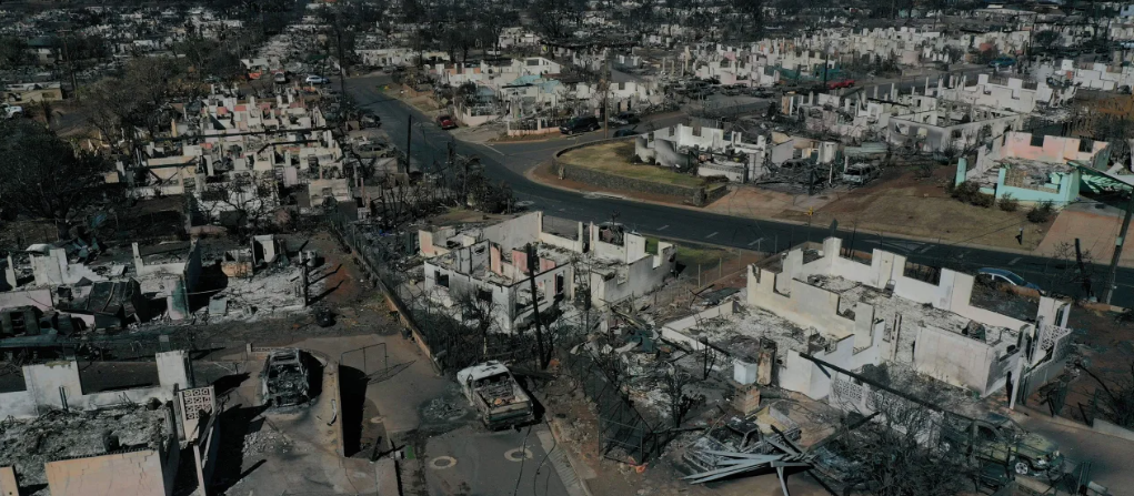 An aerial image shows destroyed homes and vehicles on August 17 after a wind-driven wildfire burned through Lahaina, Hawaii.