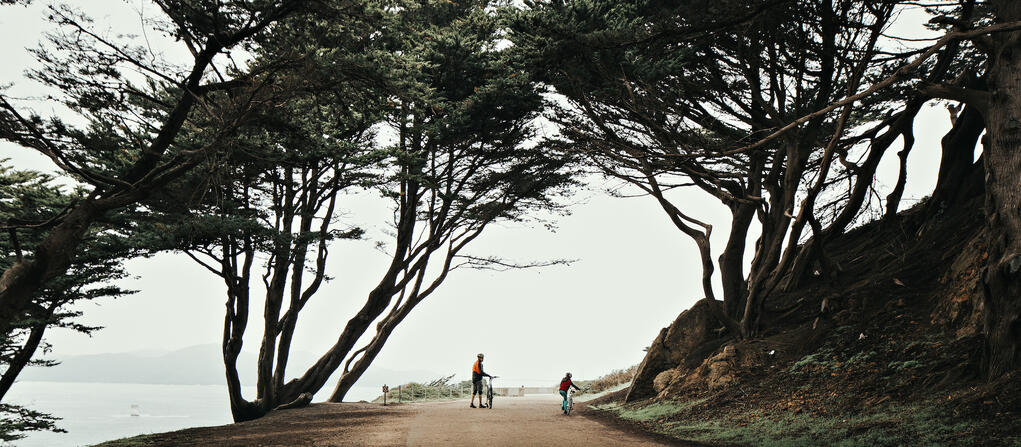 people riding bikes on a beautiful path