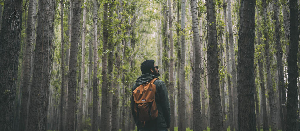 person hiking