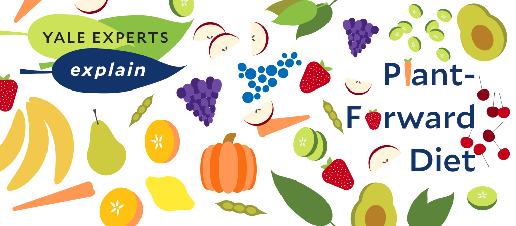 Yale Experts Explain A Plant Forward Diet Yale Sustainability yale-experts-explain-a-plant-forward-diet-yale-sustainability