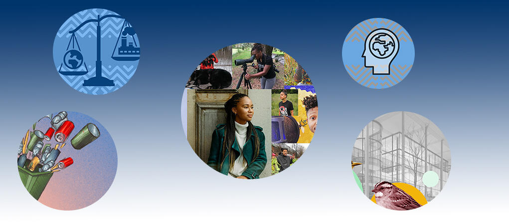 Collage of thumbnail images from Yale Sustainability's top 5 most-read stories of 2023