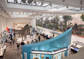 Photo of the Yale Peabody Museum's Burke Hall of Dinosaurs, with the Brontosaurus skeleton in the center