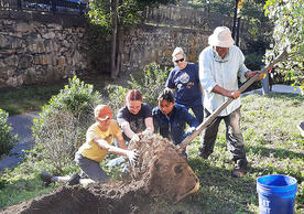 Four people planting a tree on Yale's campus