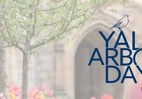 An image of Yale's campus with trees