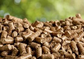 An image of biomass energy pellets