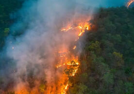 Aerial photo of a wildfire burning a forest