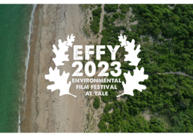A promotional poster for the Environmental Film Festival at Yale, with a photograph of a coastline as background