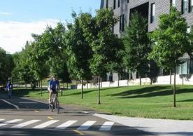 lisa biking next to the Yale Health building